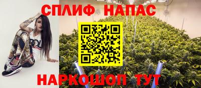 a pvp Дубна
