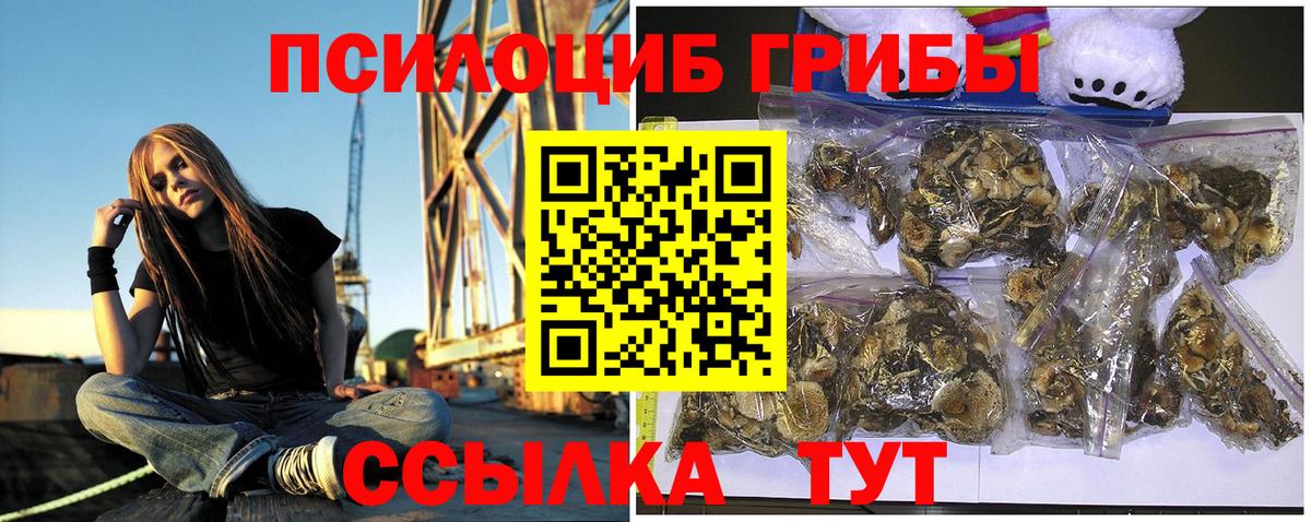 где продают наркотики  Вход с VPN  Минеральные Воды  Галлюциногенные грибы GOLDEN TEACHER 